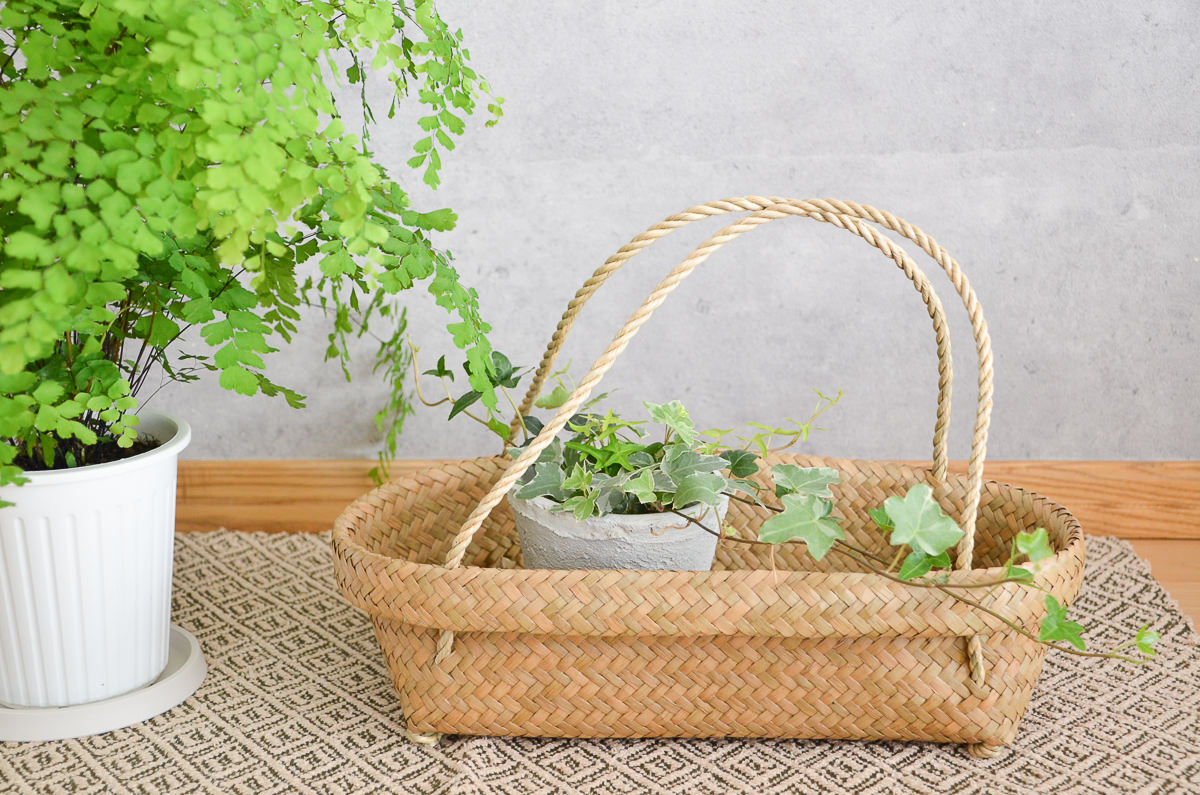 Organizing basket -Oval- with handles S, M, L / Kachū / THA 3115101　タイ/カチュー(水草)　整理かご　楕円　取手付き　S･M･L　3サイズ