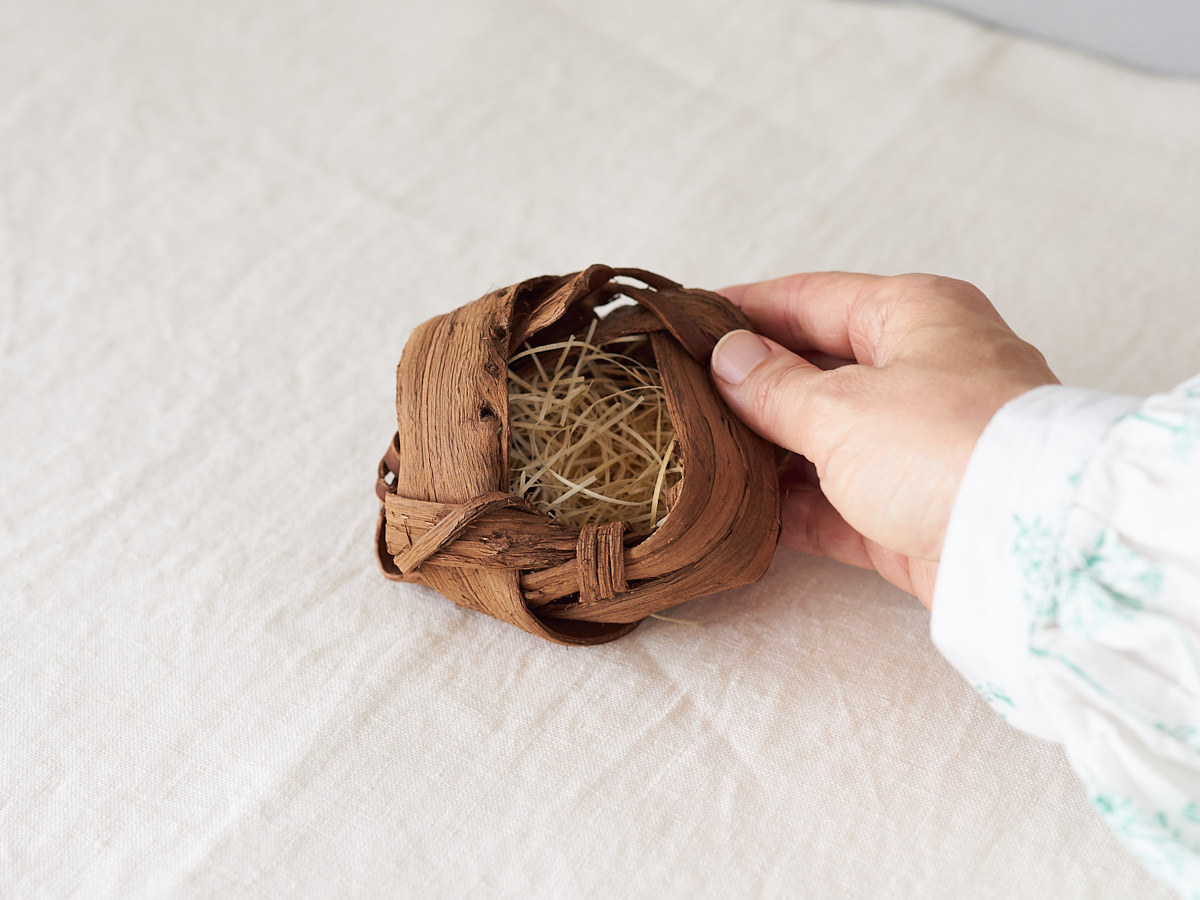 311430-1　山形県/やまぶどう　エアプランツかご　（タイプお任せ）